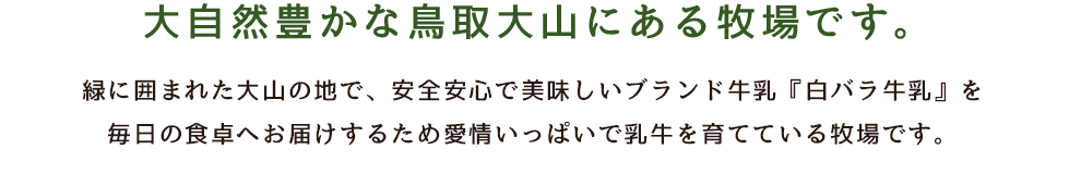 大自然豊かな鳥取大山にある牧場です。